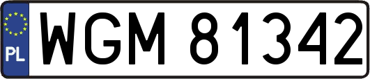WGM81342