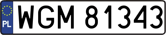 WGM81343