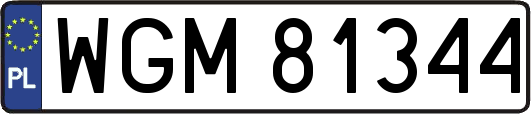 WGM81344