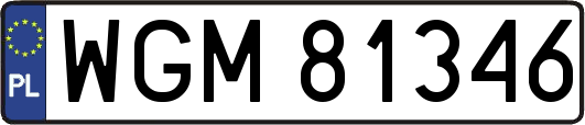 WGM81346