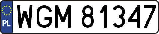 WGM81347