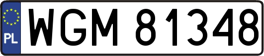 WGM81348