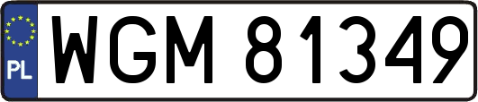 WGM81349