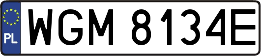 WGM8134E