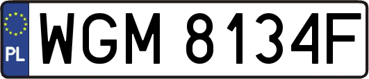 WGM8134F