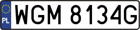 WGM8134G