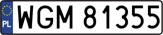 WGM81355
