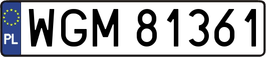WGM81361