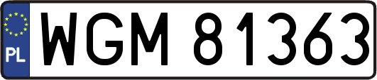 WGM81363