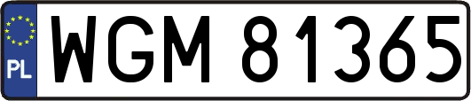 WGM81365