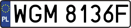 WGM8136F