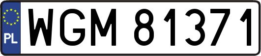 WGM81371