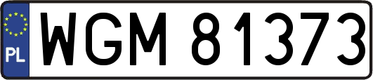 WGM81373