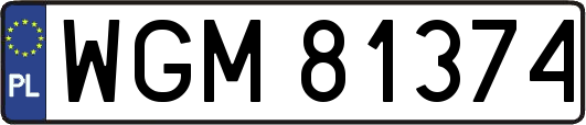 WGM81374