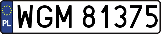 WGM81375