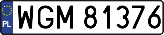 WGM81376