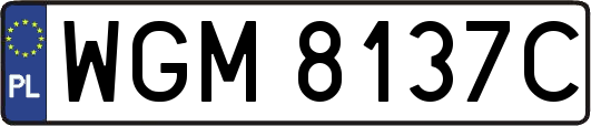 WGM8137C