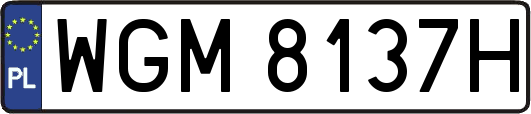 WGM8137H