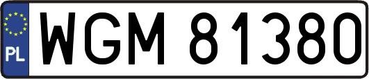 WGM81380