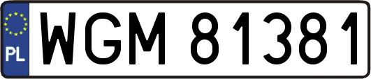 WGM81381