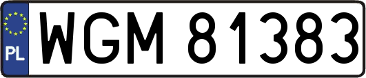 WGM81383