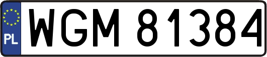 WGM81384