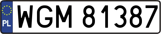 WGM81387