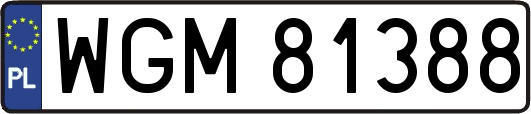 WGM81388