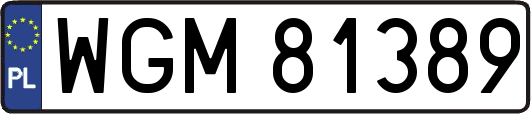 WGM81389