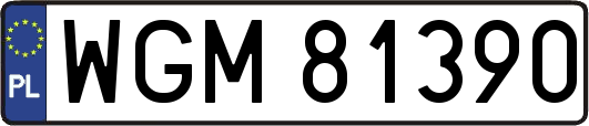 WGM81390