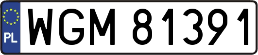 WGM81391