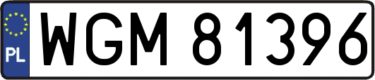 WGM81396