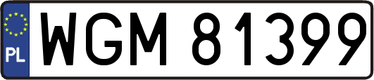 WGM81399