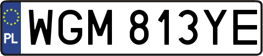 WGM813YE