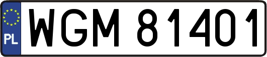 WGM81401