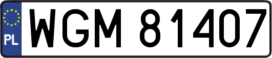 WGM81407