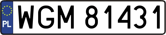 WGM81431
