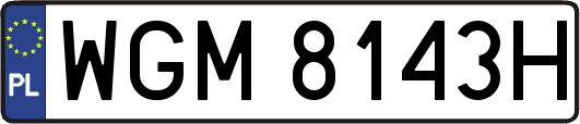 WGM8143H