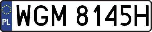 WGM8145H