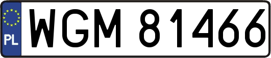 WGM81466