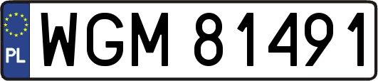 WGM81491