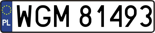 WGM81493