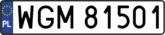 WGM81501