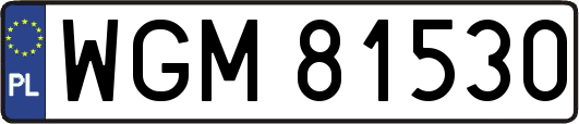 WGM81530