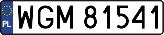 WGM81541
