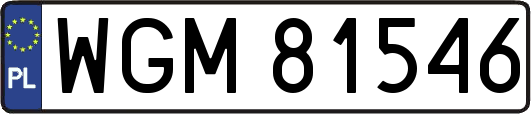 WGM81546