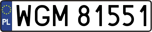 WGM81551
