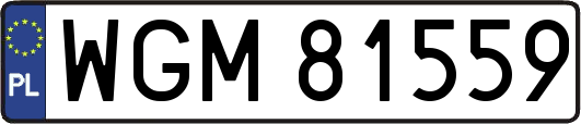 WGM81559