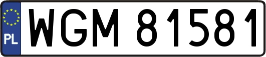 WGM81581