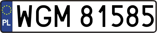 WGM81585